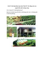 Bài 65: Tác động của con người đến môi trường rừng