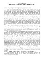 Bài thu hoạch bồi dưỡng thường xuyên giáo viên, Module THCS 3: Giáo dục học sinh cá biệt