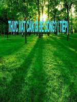 Tuần 28- KHOA HỌC 4- THỰC VẬT CẦN GÌ ĐỂ SỐNG ( TIẾP)