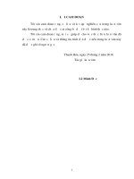 Giải pháp giảm thiểu rủi ro đối với cho vay học sinh sinh viên tại ngân hàng chính sách xã hội tỉnh thanh hóa 
