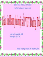 Giáo án Điện Tử: Khám phá một số PTGT Đường thủy