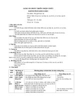 Giáo án KPKH: Một số loại rau