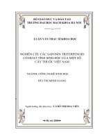 Nghiên cứu các Saponin Triterpenoid có hoạt tính sinh học của một số cây thuốc Việt nam