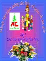 TUẦN  27 Ôn tập và kiểm tra giữa HKII Tiết 1 (Ôn tập)