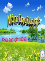 Đạo đức 3- Chăm sóc cây trồng, vật nuôi (tiết 2)