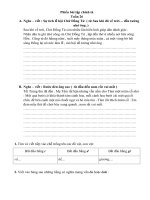 PHIẾU BÀI TẬP TIÊNG VIỆT LỚP 3 TUẦN 26