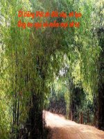 GIÁO ÁN ĐIỆN TỬ NGỮ VĂN 6- TIẾT 57: CHỈ TỪ.