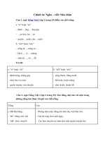 Chính tả: Nghe – viết: Sân chim