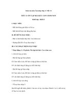 Tải Giáo án môn Âm nhạc lớp 3: Tiết 13 - Ôn tập bài Con chim non