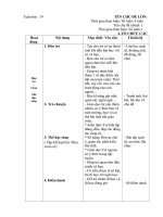 GIÁO ÁN CHỦ NHIỆM: MÙA XUÂN ĐẾN RỒI