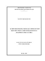 Sự biến đổi sinh hóa trong quá trình lên men dịch thủy phân cá bởi tetragenococcus halophilus CH6 2 và CH8 2