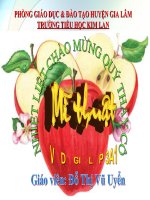 Mĩ thuật lớp 3- chủ đề 8