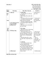 giáo án chủ nhiệm tuần 1: Trường mầm non