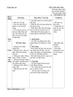 Giáo an chính - Động vật sống trong rừng