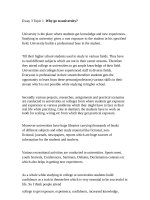 bài luận tiếng anh hay