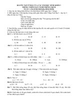 Đề ôn tập khối 3 trong thời gian nghỉ phòng chống dịch ...