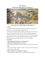 Tải Bài văn mẫu lớp 9: Phân tích tác phẩm Hoàng Lê nhất thống chí -  Những bài văn hay lớp 9