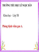 Khoa học 5 - Tuần 8 : Phòng bệnh viêm gan A