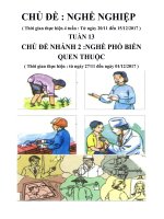 giáo án chủ đề nghề nghiệp tuần 13 tuần chính nhánh 2