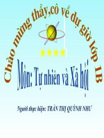 hoạt động và nghỉ ngơi