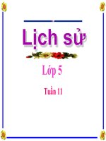 Lớp 5 - Lịch sử - Tuần 11: Ôn tập hơn 80 năm chống thực dân Pháp