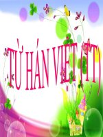 TIẾT 13 TỪ HÁN VIỆT