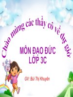 đạo đức 3: Tôn trọng khách nước ngoài