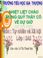 Lớp 2- Tự nhiên xã hội - Tuần 2: Bài Bộ xương