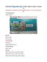 Tải Giải Tiếng Anh lớp 1 Unit 4: They’re bears! - Lesson 2 SGK - Sách Chân Trời Sáng Tạo Tiếng Anh lớp 1 Unit 4: They're bears! (trang 31)