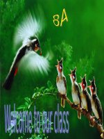 tuan 12-tiet 34-Unit 05 - A closer look 1 thoa