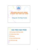Bài giảng sản xuất giống và nuôi thủy sinh vật cảnh  phạm thị anh (năm 2015) 