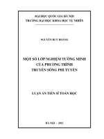 Một số hiệu ứng động trong các hệ bán dẫn thấp chiều