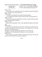 Download Đề thi kiểm định chất lượng HSG sinh học 8 hay