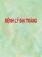 BỆNH lý đại TRÀNG (BỆNH học nội) (chữ biến dạng do slide dùng font VNI times, tải về xem bình thường) 