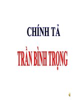 CHÍNH TẢ 3 - TUẦN 19 - NGHE VIẾT TRẦN BÌNH TRỌNG