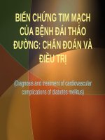 BIẾN CHỨNG TIM MẠCH của BỆNH đái THÁO ĐƯỜNG, CHẨN đoán và điều TRỊ (BỆNH học nội) (chữ biến dạng do slide dùng font VNI times, tải về xem bình thường) 