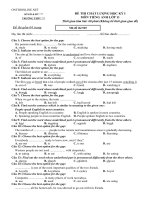 Download Đề thi khảo sát chất lượng học kỳ 1 tiếng anh 11