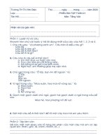 KHỐI 4 - PHIẾU BÀI TẬP TIẾNG VIỆT - TUẦN 21