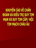 KHUYẾN cáo về CHẨN đoán và điều TRỊ SUY TIM mạn và SUY TIM cấp hội TIM MẠCH CHÂU âu (BỆNH học nội) 
