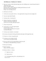 Download 100 phrsal verb quan trọng