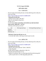 học trực tuyếnkhối 4 tuần 23 0642020  tiểu học nguyễn việt hồng