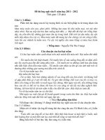 Download Đề thi HSG ngữ văn 8 kì 2
