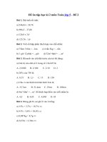 Đề ôn tập học kì 2 môn Toán lớp 5 – Năm 2019 – Đề số 2