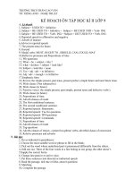 Download Đề cương thi môn tiếng anh 9 HKI