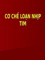 CƠ CHẾ LOẠN NHỊP TIM (BỆNH học nội) 