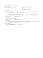 Download Đề và đáp án kiểm tra 45 phút sinh học 11- THPT Ngô Gia Tự