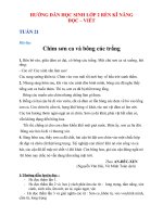 phiếu học tập tuần 21  tiểu học huỳnh mẫn đạt