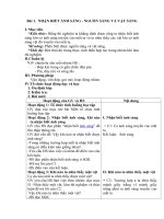 Tải Giáo án môn Vật lý lớp 7 bài 1 - Nhận biết ánh sáng - nguồn sáng và vật sáng