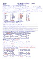 Download Đề kiểm tra 1 tiết khối 11 môn tiếng anh