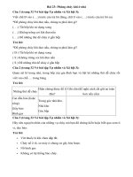 Tải Giải vở bài tập môn Tự nhiên xã hội 3 bài 23: Phòng cháy khi ở nhà - Hướng dẫn giải VBT Tự nhiên và xã hội lớp 3